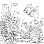Detailed Marine Life Coloring Pages 3