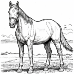 Detailed Quarter Horse Anatomy Coloring Pages for Adults 2