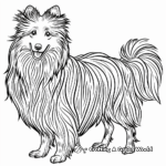 Detailed Shetland Sheepdog Coloring Pages for Adults 3