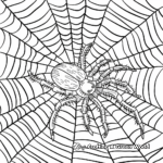 Detailed Spider Web Coloring Pages 3