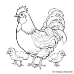 Diverse Breed Chicken Coloring Pages 4