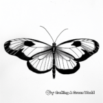 Elegant Butterfly Coloring Pages 2