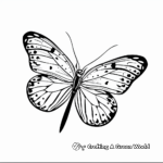 Elegant Butterfly Coloring Pages 4