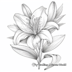Elegant Easter Lily Adult Coloring Pages 2