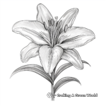 Elegant Easter Lily Adult Coloring Pages 4