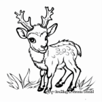 Elk Calf Coloring Pages: The Cousins of Rams 1
