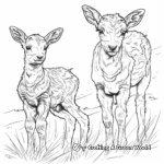 Elk Calf Coloring Pages: The Cousins of Rams 2