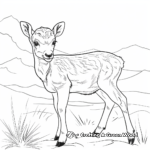 Elk Calf Coloring Pages: The Cousins of Rams 3