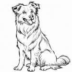 Endearing Welsh Collie Coloring Pages 4