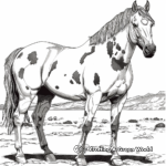 Exciting Sabino Paint Horse Coloring Pages 2