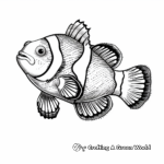 Exotic Amphiprion Ocellaris Clownfish Coloring Pages 1
