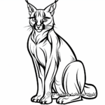 Exotic Caracal from Africa Coloring Pages 1