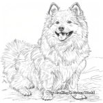 Exotic Finnish Lapphund Coloring Pages 2