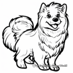 Exotic Finnish Lapphund Coloring Pages 3