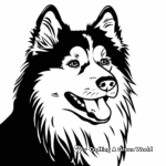 Exotic Finnish Lapphund Coloring Pages 4