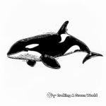 Exquisite Orca Whale Coloring Pages 1