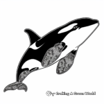 Exquisite Orca Whale Coloring Pages 2
