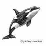 Exquisite Orca Whale Coloring Pages 3