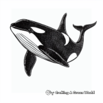 Exquisite Orca Whale Coloring Pages 4