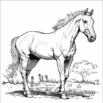 Exquisite Paint Horse in Nature Coloring Pages 1