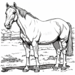 Exquisite Paint Horse in Nature Coloring Pages 2