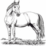 Exquisite Paint Horse in Nature Coloring Pages 3