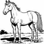 Exquisite Paint Horse in Nature Coloring Pages 4