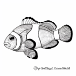 Eye-Catching Indian Clownfish Coloring Pages 2