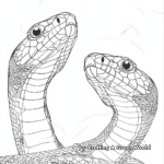 Female and Male Black Mamba Coloring Pages 2