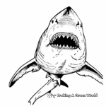 Fierce Great White Shark Coloring Pages 4