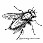Fly in the Wild: Nature Scene Coloring Pages 1