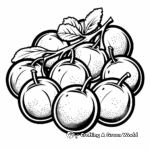 Fruit-Themed Oval Coloring Pages: Delicious Plums 2