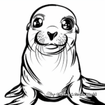 Fun and Simple Sea Lion Coloring Pages for Kids 1