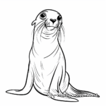 Galapagos Sea Lion Coloring Pages 1