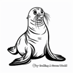Galapagos Sea Lion Coloring Pages 2