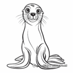 Galapagos Sea Lion Coloring Pages 3