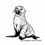 Galapagos Sea Lion Coloring Pages 4