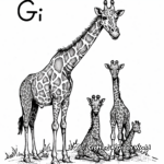 Giraffe Family Coloring Pages 1