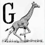 Giraffes in Action: Running Giraffe Coloring Pages 3