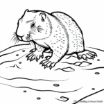 Groundhog Day Predictions: Six More Weeks of Winter Coloring Page 4