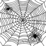 Halloween Spider Web Coloring Pages 4