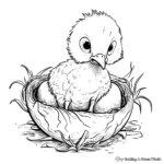 Hatching Duckling Coloring Pages for Kids 3
