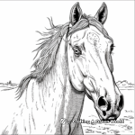 Head-Turning Quarter Horse Coloring Pages 4