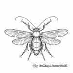 Impressive Insect Tracing Coloring Pages 1