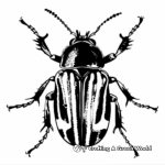 Impressive Insect Tracing Coloring Pages 2