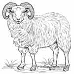 In the Highlands: Scottish Ram Coloring Pages 1