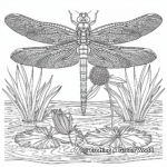 Intricate Dragonfly Pond Coloring Pages 3