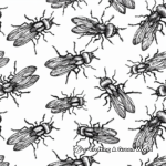 Intricate Fly Pattern Coloring Pages 1