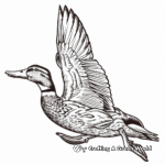 Intricate Mallard Duck in Flight Coloring Pages 1