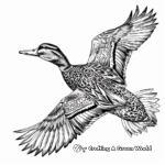 Intricate Mallard Duck in Flight Coloring Pages 2